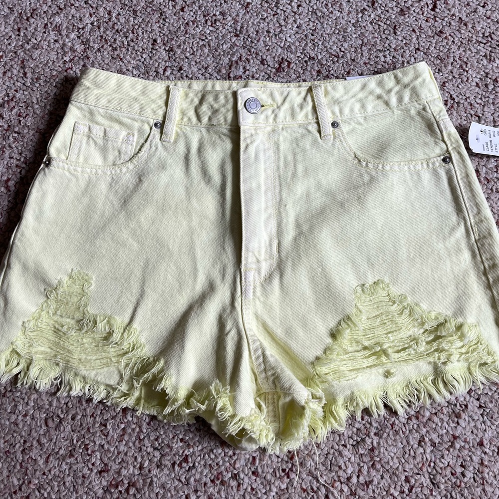 PacSun High Rise Festival shorts size 28